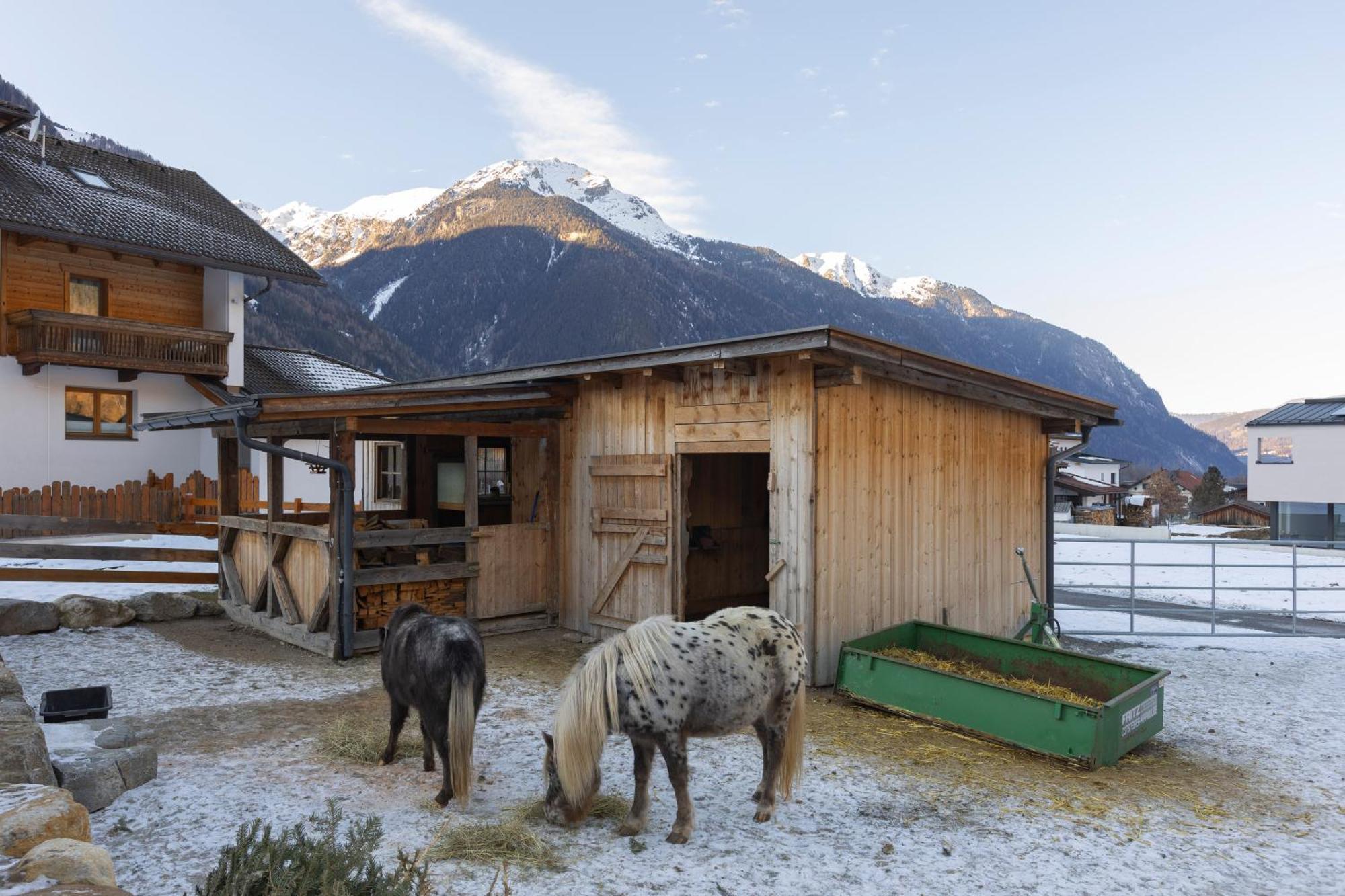 Ferienhaus Tirol im Ötztal Umhausen Exterior foto